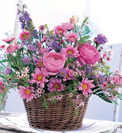 Pink Breeze (Medium)