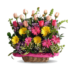 Big Emotions (24 Roses + 6 Gerbera Daisesus)