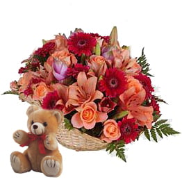 Fidelity (12 Roses + 6 Gerberas + 2 Lilies + Teddy Bearus)