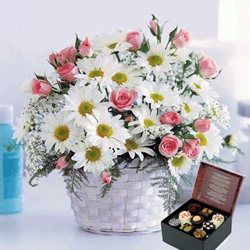 Congratulations! (18 Roses + Daises + Box Of Chocolatesus)