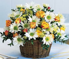 Living Like This (18 Roses And Daisesus)