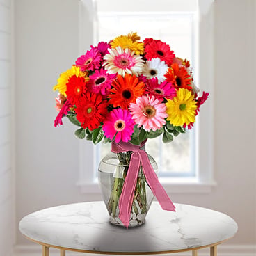 Gerberas SALE! (6 Gerbera Daisies Bouquet)