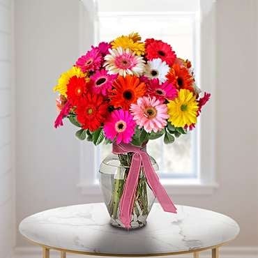 Gerberas (12 Gerberas Daisies in a Vase)