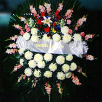 Sympathy & Funeral (Medium)
