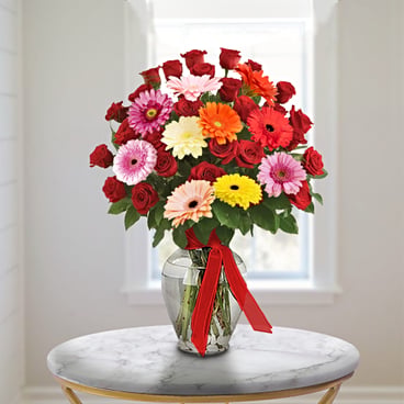 Love Seduction! (12 Roses + 3 Gerbera Daisies)
