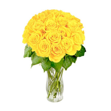 Magnific Yellow (24 Rosesus)