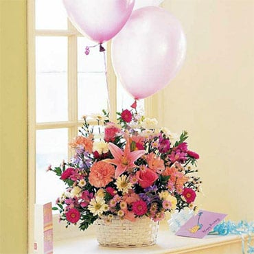 Birthday Surprise!!! (Large)