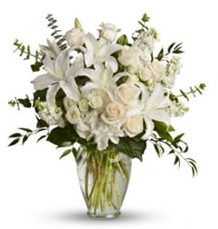 White Elegance (White Elegance With 12 Rosesus)