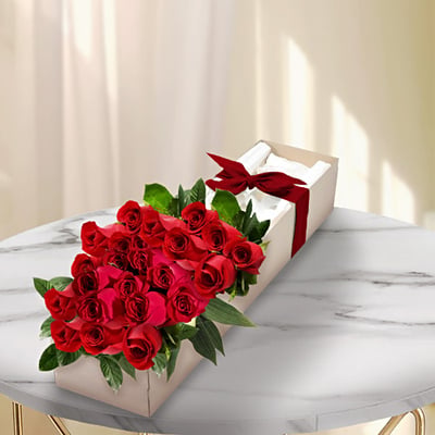 Roses in Box (12 Roses)