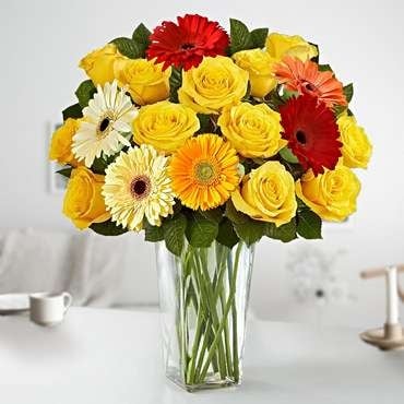 Love Surprise (12 Roses + 6 Gerbera Daisies)
