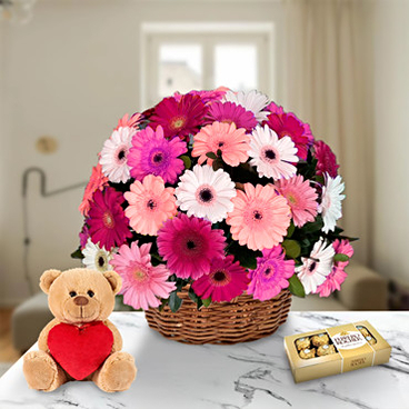 My Flower (10 Gerberas)
