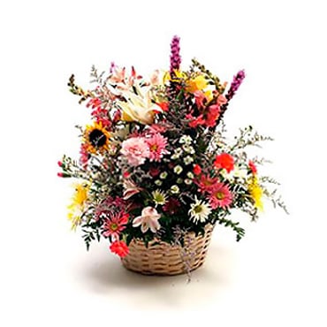 Spring Basket (Deluxe)