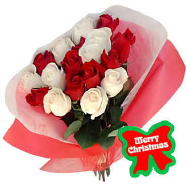 White and Red (12 Roses)