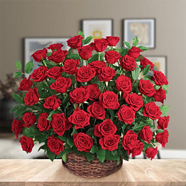 Big Warm Roses Hug (36 Roses)