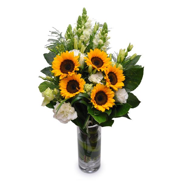 Sunny Treasures