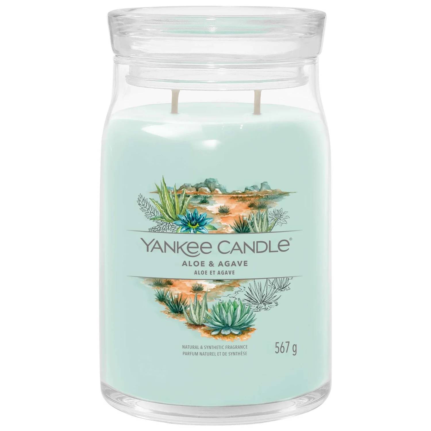 Yankee Candle Signature Jar Candle Large Aloe & Agave 567g