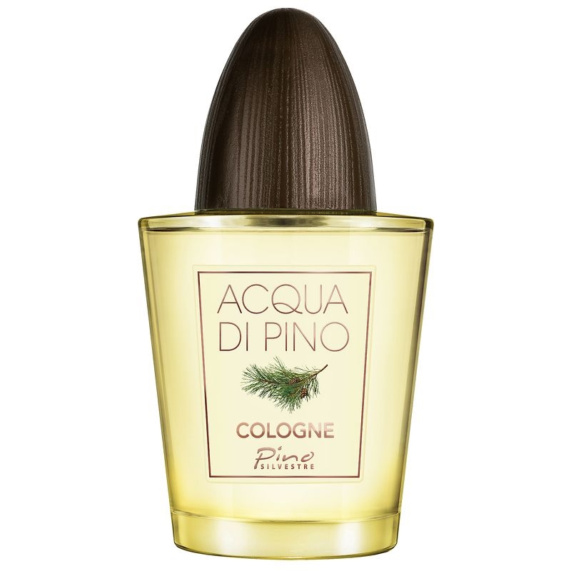 Pino Silvestre Acqua Di Pino Concentree
