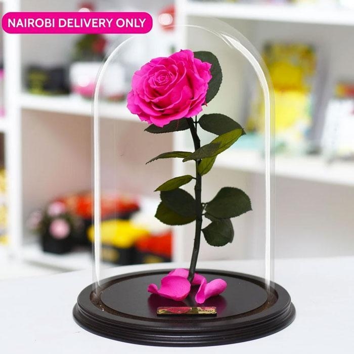ForeverRoses Pink Bella Rose