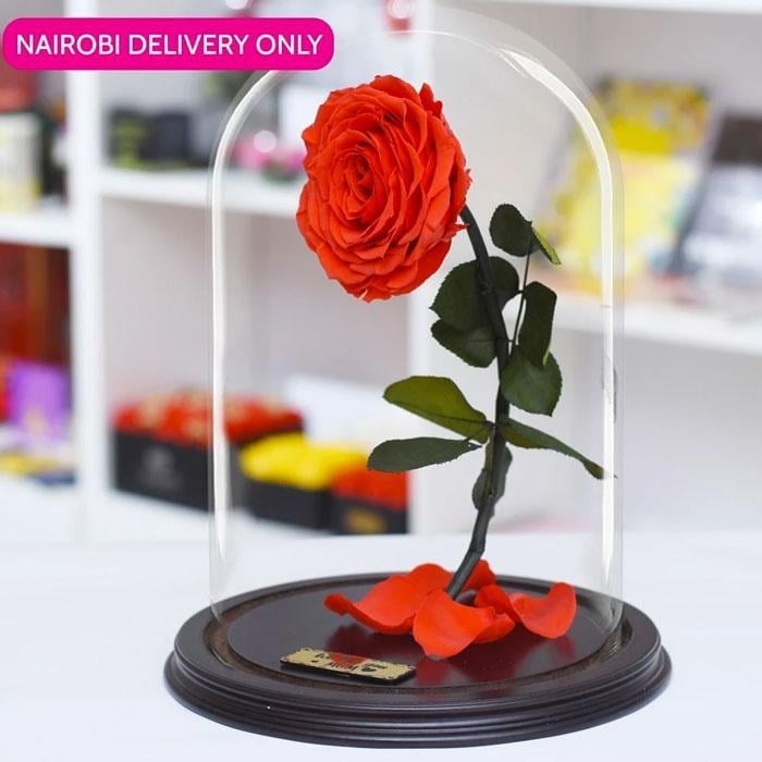 ForeverRoses Red Bella Rose