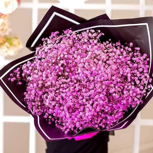 Wonder Pink Baby's Breath Bouquet