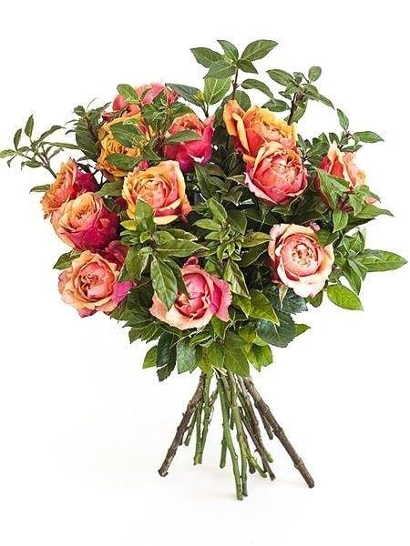 Orange Rose Bouquet (Small (8 Roses))