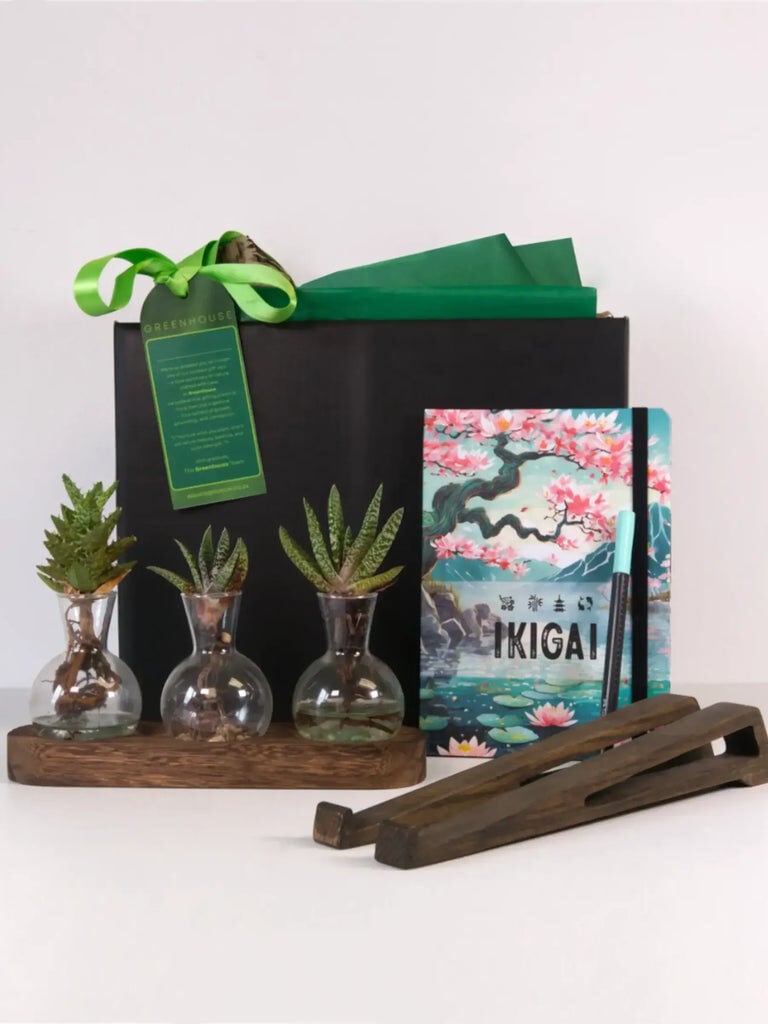 Clear Connection Desk Essentials Gift Set