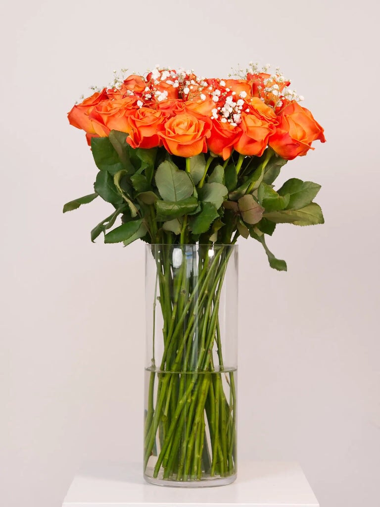 You Absolute Legend (Single (12 Roses))