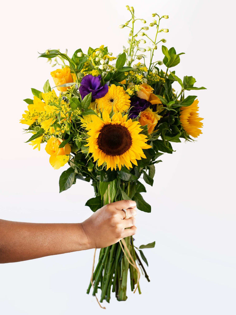 Purple Yellow Velvet (Small)