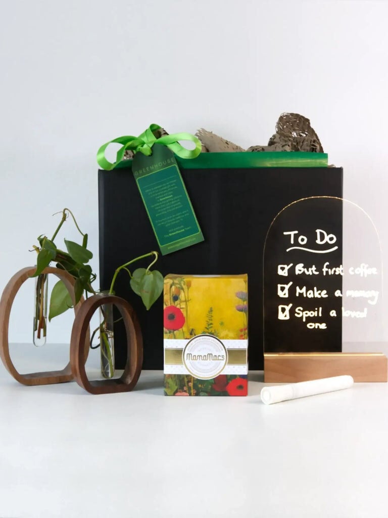 Roots & Rituals Hydroponic Plant Gift Set