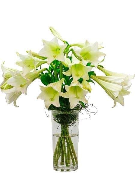 St Joseph Lily Vase Arrangement (Small (8 Lilies))
