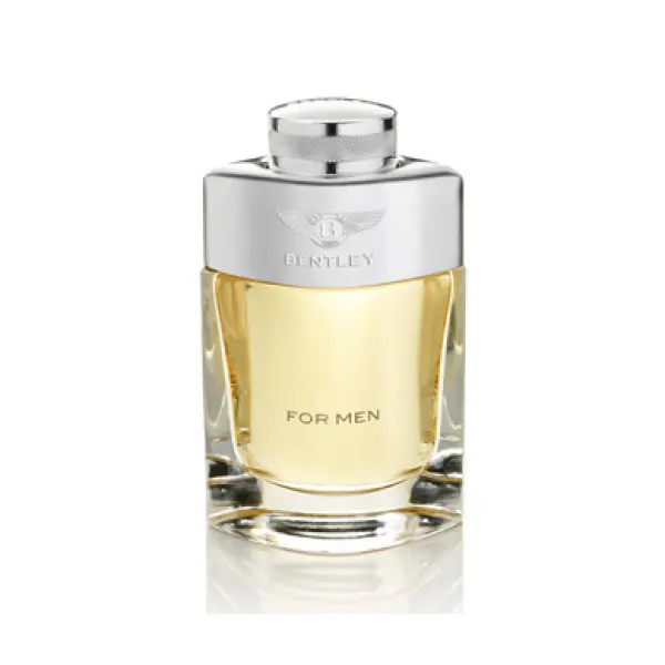 Bentley By Bentley 100ml Edts Mens Fragrance