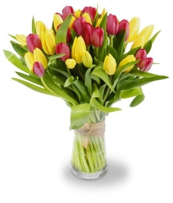 bouquet of tulips red - yellow Louise (Small 21 psc)