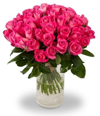 Elie (Medium 50 Stems)