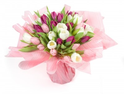 Tulipe (Small 21 Stems)