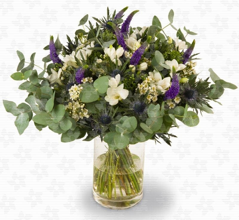 Octave - white freesia