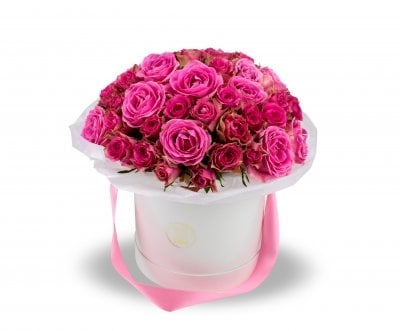 Box Of Flowers Aurora