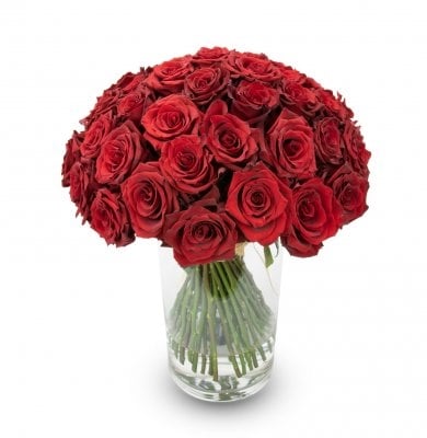 Mercedes (Small 11 Stems)