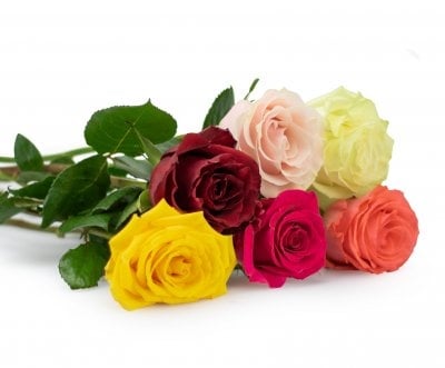 Roses on request 50cm (Leaves MIX)