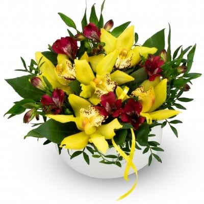Box of flowers Rio (Medium)