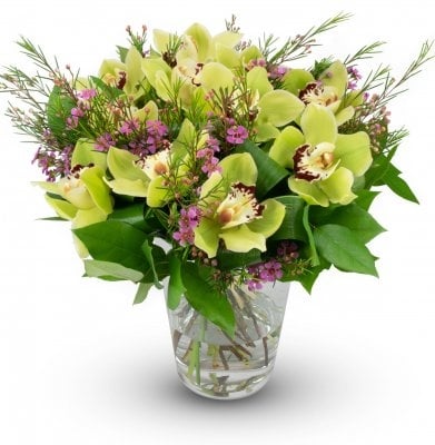 Perroquet (Small 7 Blossoms)