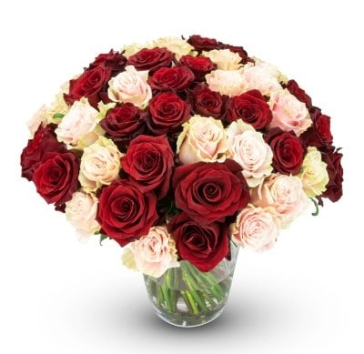 Lisa (Small 11 Stems)