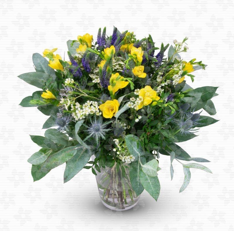 Octave - yellow freesia