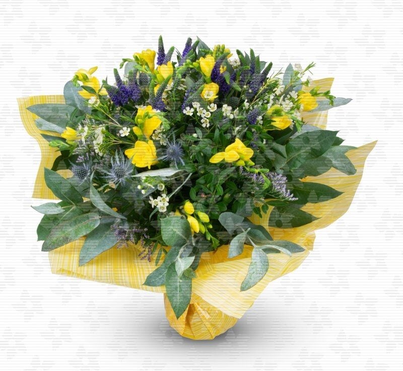 Provence - yellow freesia