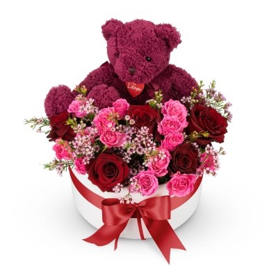 Box of flowers Magenta Teddy (Medium)
