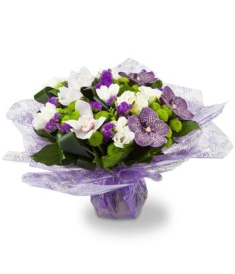 Vanda (Medium)