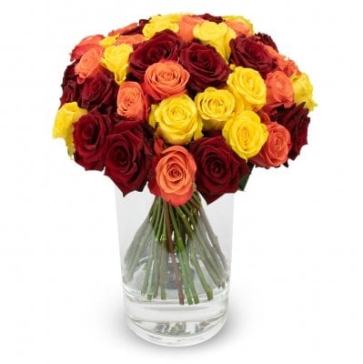 Alice (Small 11 Stems)