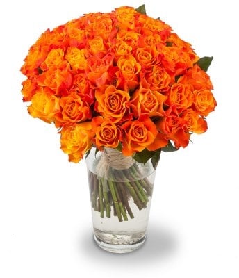 Alienor (Small 11 Stems)