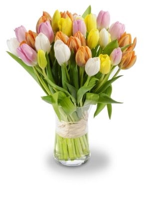 Audrey (Small 21 Stems)
