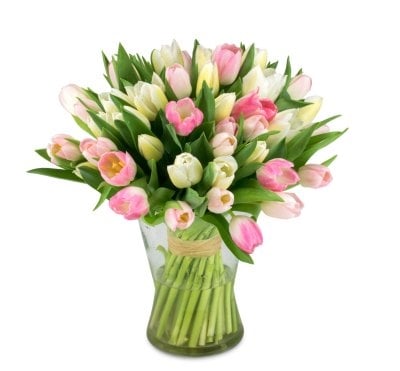 Barbara (Small 21 Stems)
