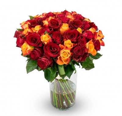 Florence (Small 11 Stems)